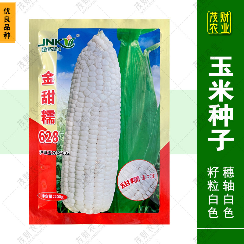 金农科金甜糯628软糯香甜好吃