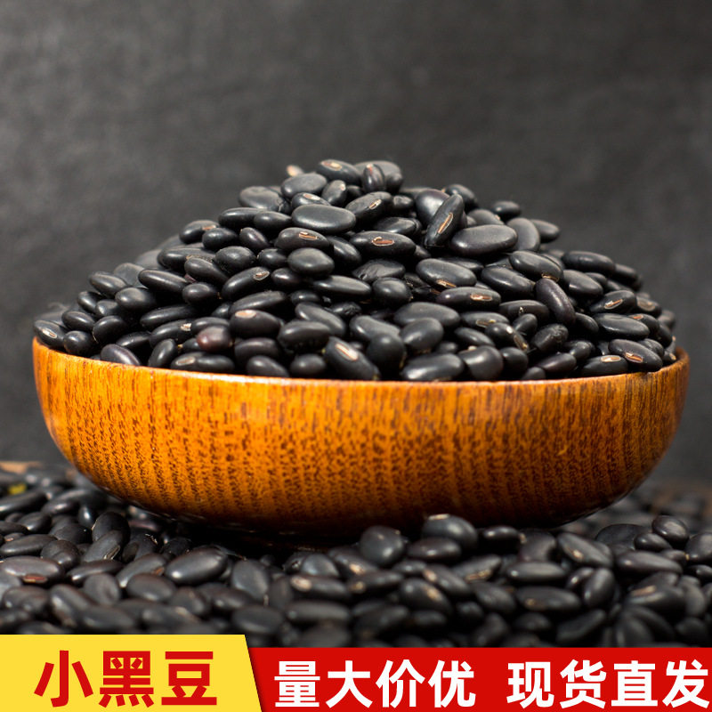 小黑豆黄芯肾形小扁黑豆 芽菜豆苗水培蔬菜 豆豉专用 打豆浆