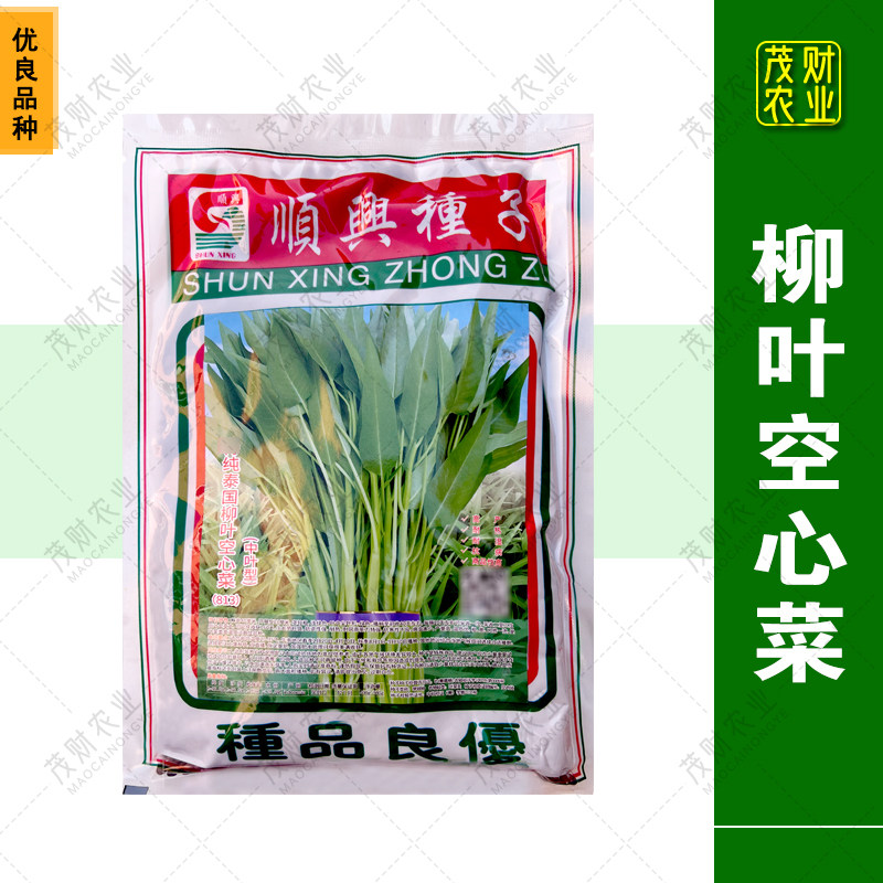 进口泰国柳叶空心菜种籽无土栽培水培芽苗菜种子阳台种菜纸上种菜