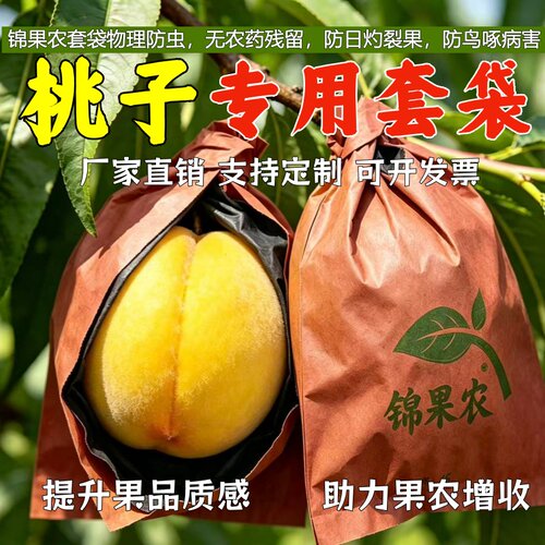锦果农桃子套袋双层防鸟虫