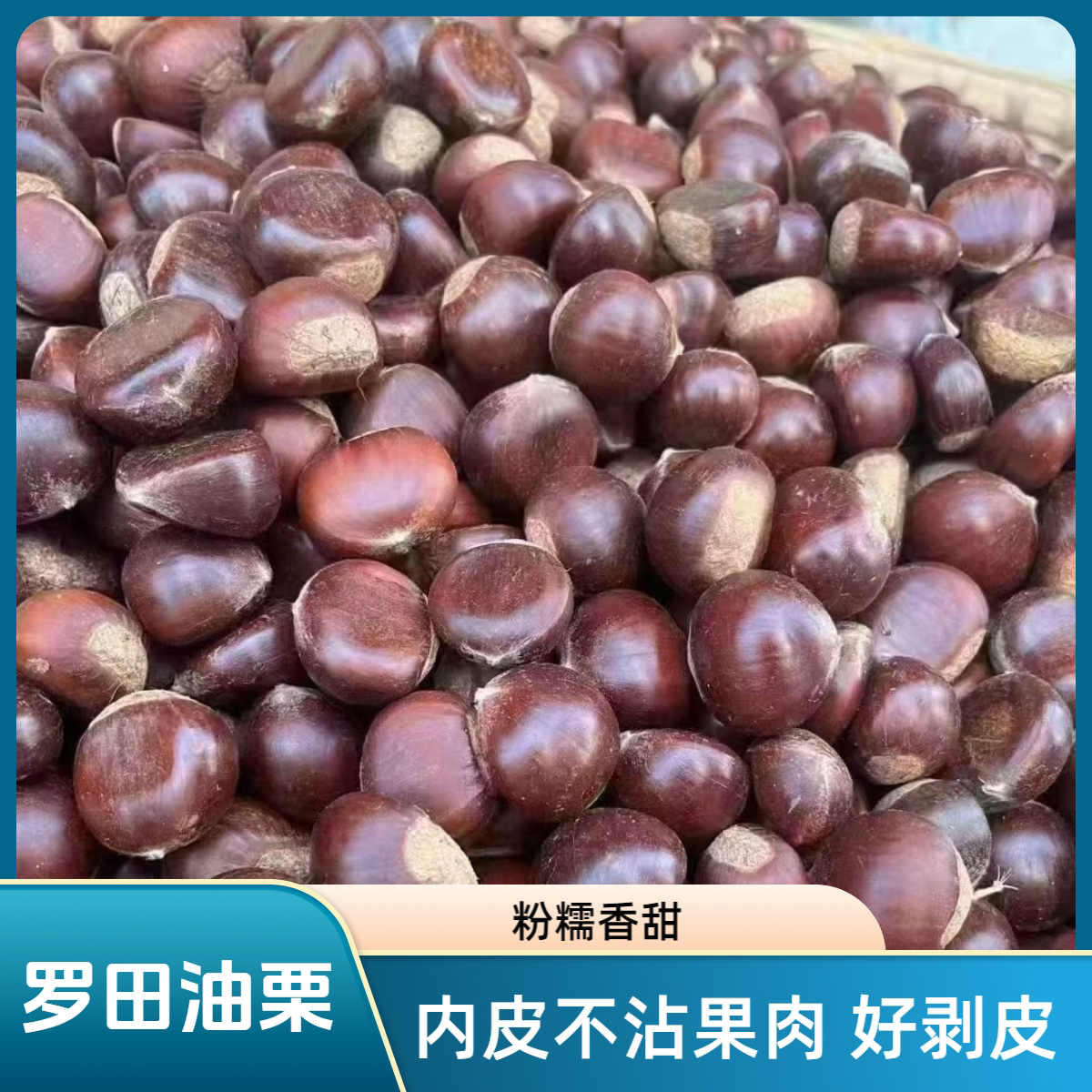 湖北罗田新鲜板栗粉糯香甜易剥