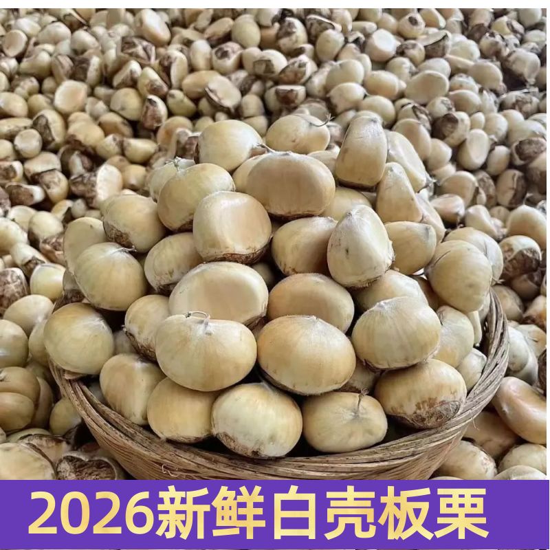 板栗生新鲜2026新鲜下树嫩白花壳金寨栗子现摘现发油栗子应季板栗