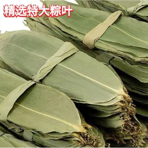 特大码粽子叶下单送绳