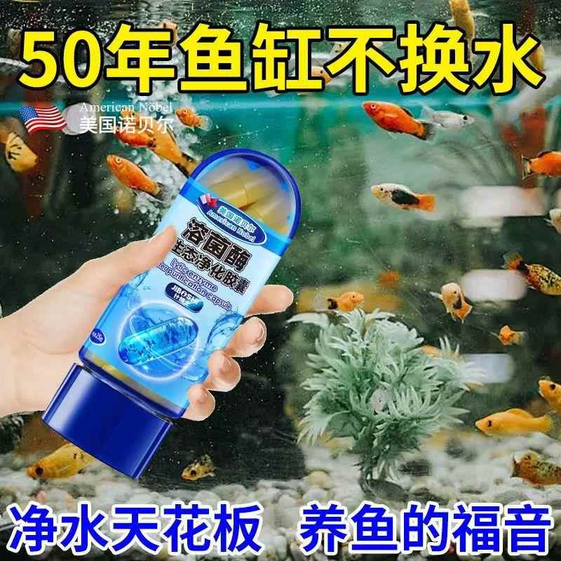 【水质净化养鱼神器】硝化细菌胶