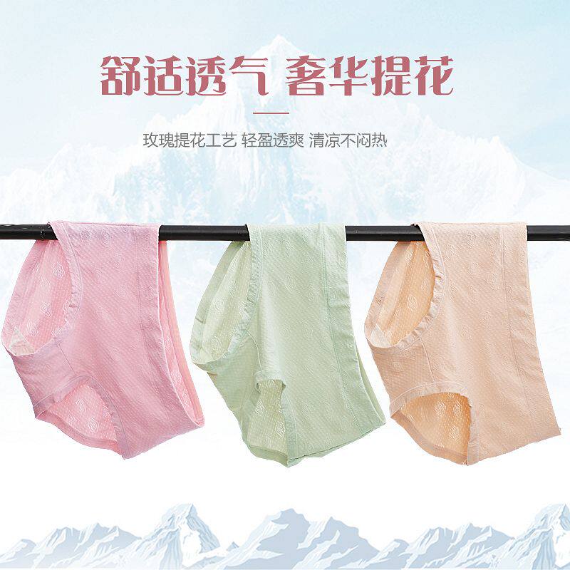 4条装莫代尔棉内裤女中