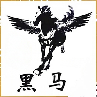 黑马代校对31版word pdf 校对完成发注释报告TXT文件万字一元