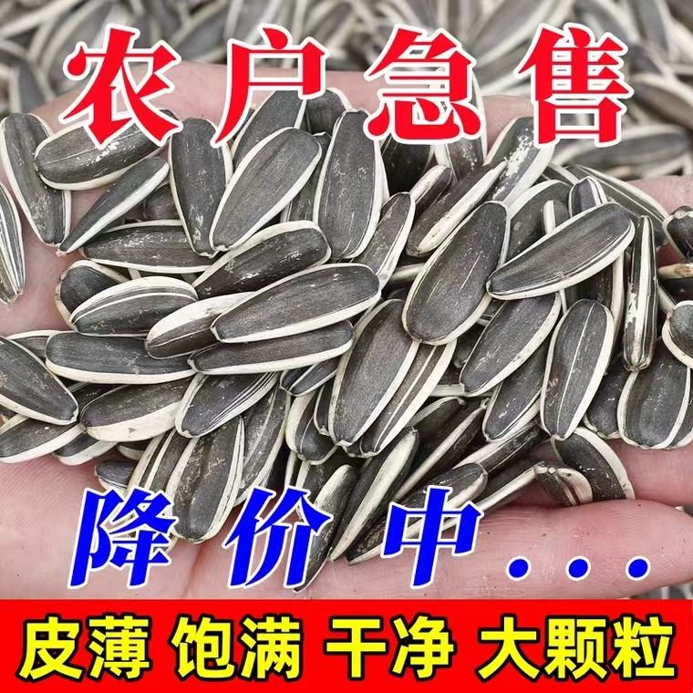 新货内蒙古大颗粒原味瓜子5斤