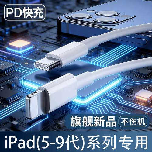 适用苹果iPad 9充电线30WPD快充10.2英寸平板ipad 5 6 7 8充电iPad 9.7寸平板充电线iPad第6 7 8 9代数据线