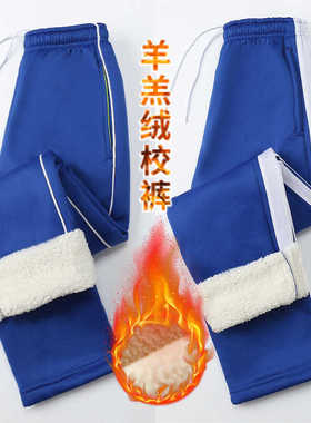 宝蓝色羊羔绒校服裤子男女通用校裤冬季加厚款中小学生高中生校裤