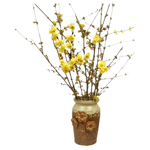 绿梅鲜枝鲜花水培干枝条绿植物室内鲜枝遇水养开花卉盆栽干插花支