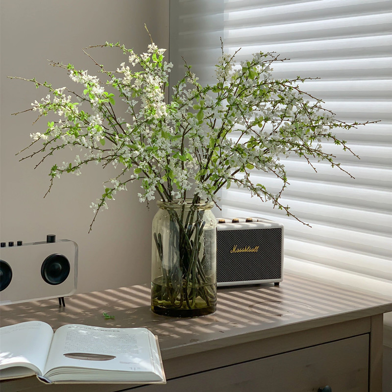 雪柳鲜枝水培干枝支懒人绿植物