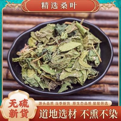 桑叶的功效与作用霜降秋后桑树