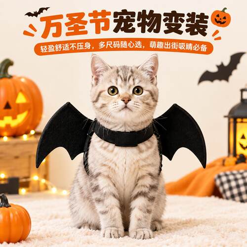万圣节宠物蝙蝠小翅膀猫咪狗狗服饰派对氛围装饰用品搞怪拍照道具
