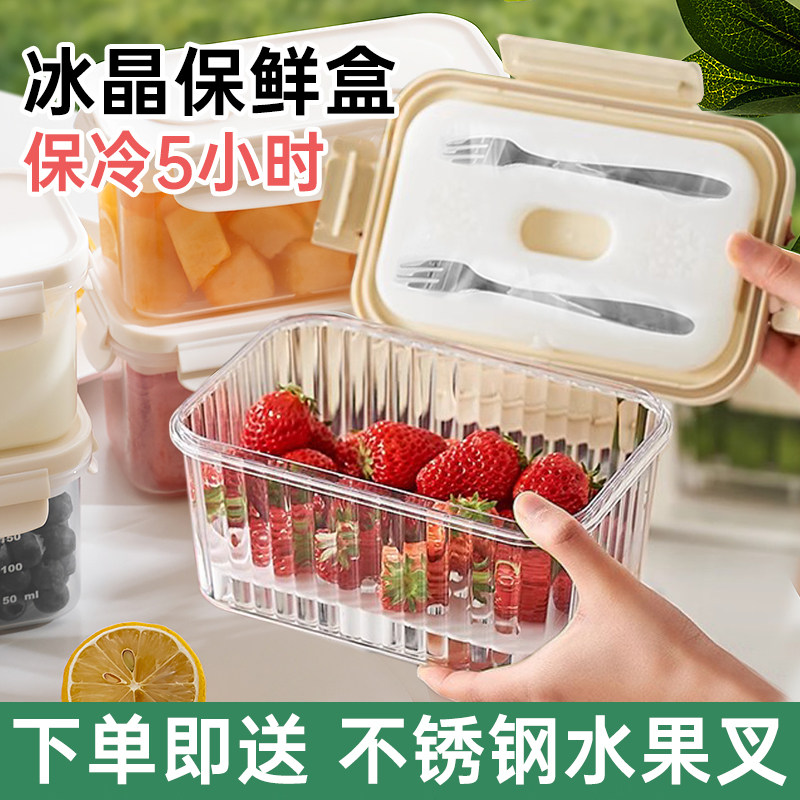 手提便携保鲜盒水果便当盒保鲜冰盒食品级冰盒冰格移动小冰箱保冷