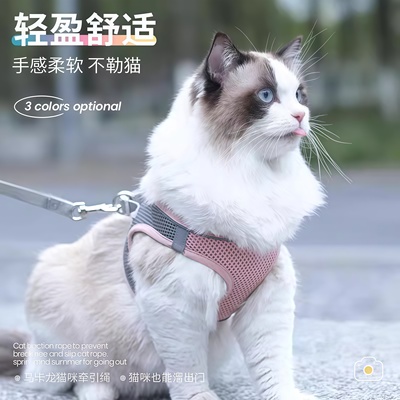 小猫牵引绳拴猫绳猫咪防挣脱外出专用宠物兔子背心遛猫专用溜链子