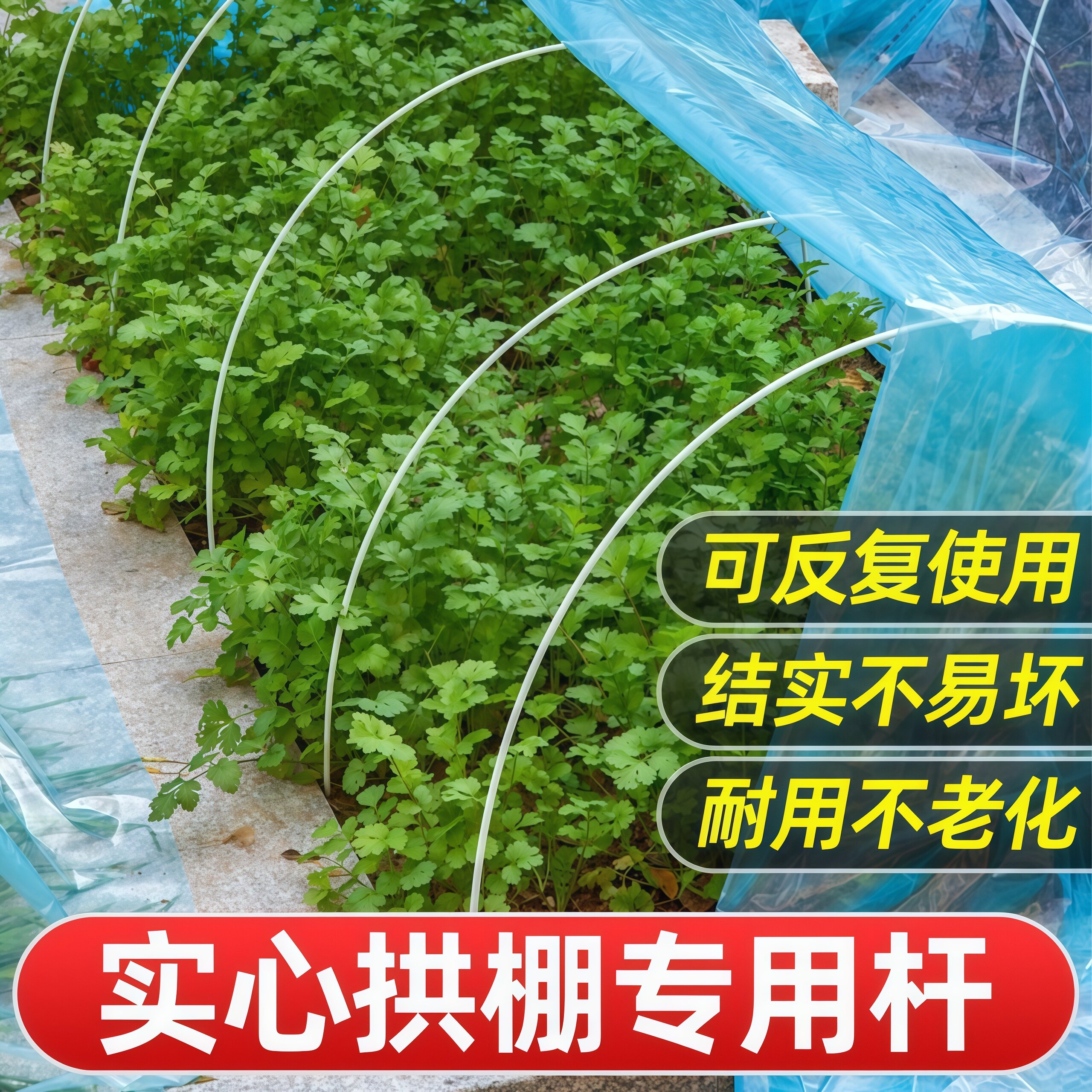 温室拱棚支架玻璃纤维大棚骨架菜地农用种菜爬藤架蔬菜拱条支伸缩