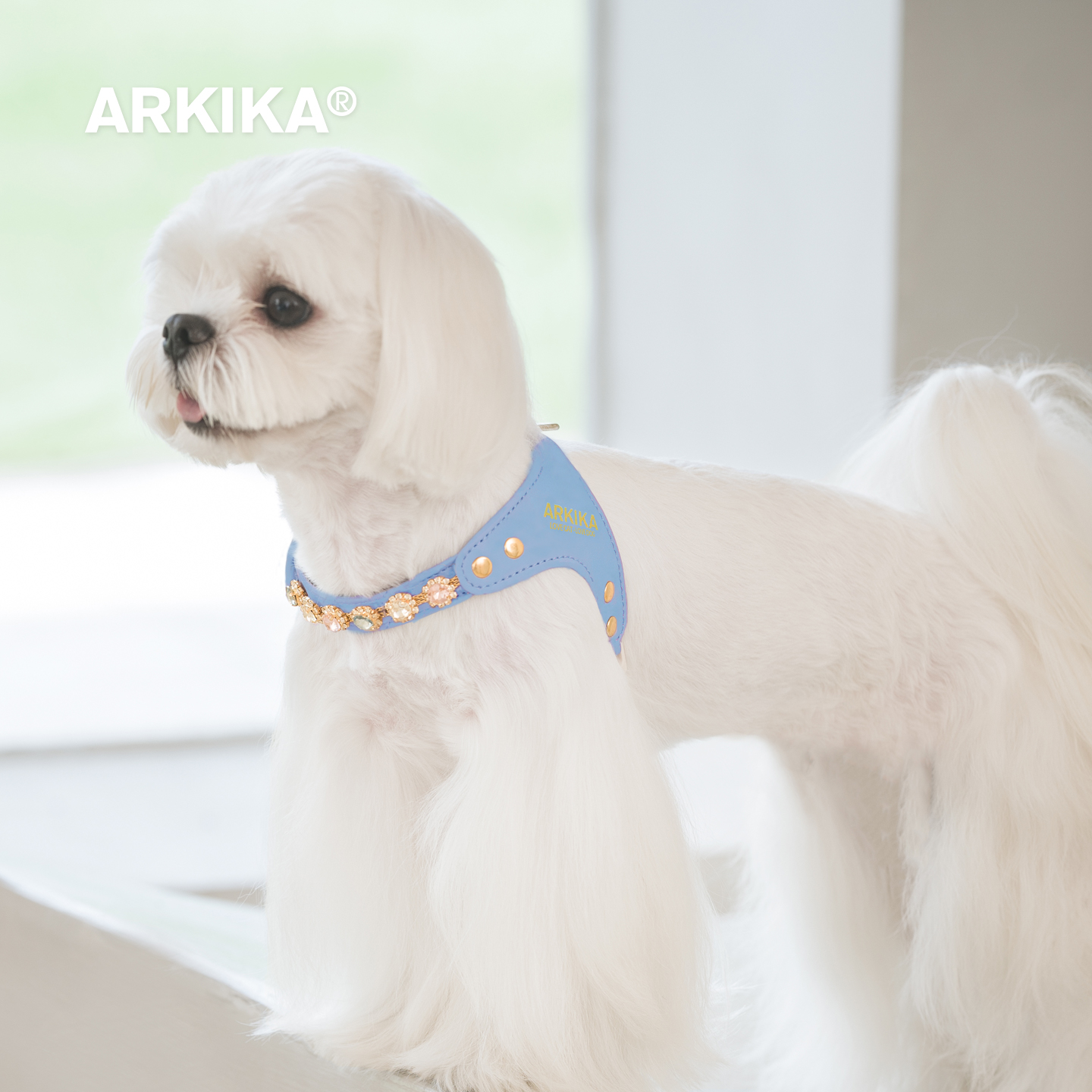 ARKIKA狗狗小型犬胸背牵引绳