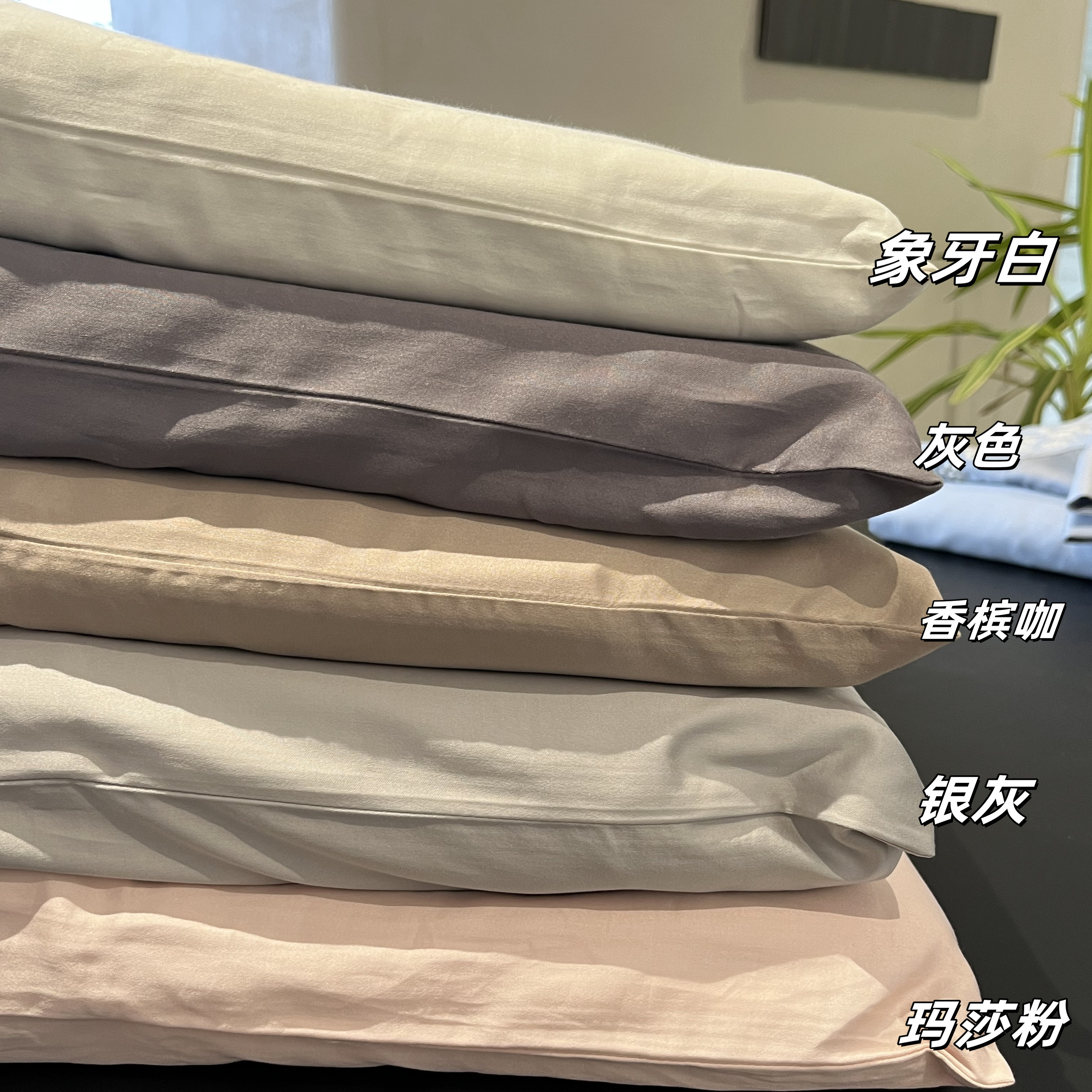 PLANTINUM/铂睿·极简美学