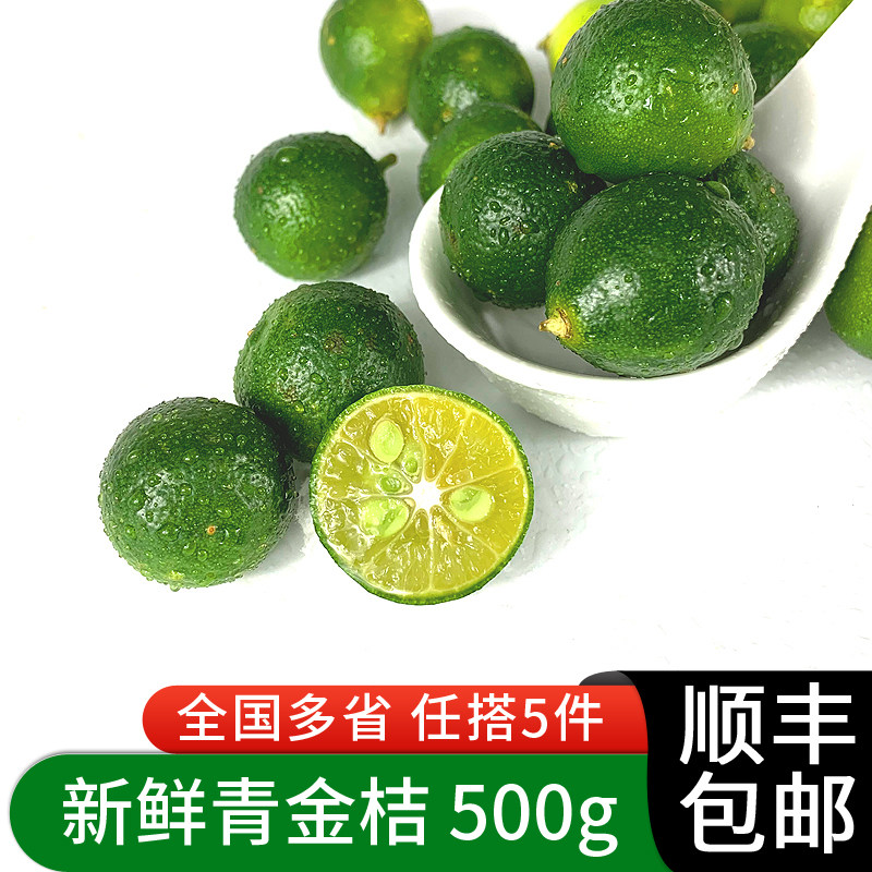 绿食者 青金桔500g 海南新鲜水果小桔子小青桔小柠檬青金橘小金桔
