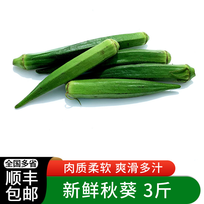新鲜秋葵3斤 水果秋葵黄秋葵六角羊角豆沙拉食材蔬菜全国多省包邮