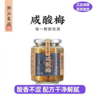 潮汕集锦咸酸梅老坛腌制咸梅子青竹梅盐渍梅肉泡水咸水梅蒸鱼320g