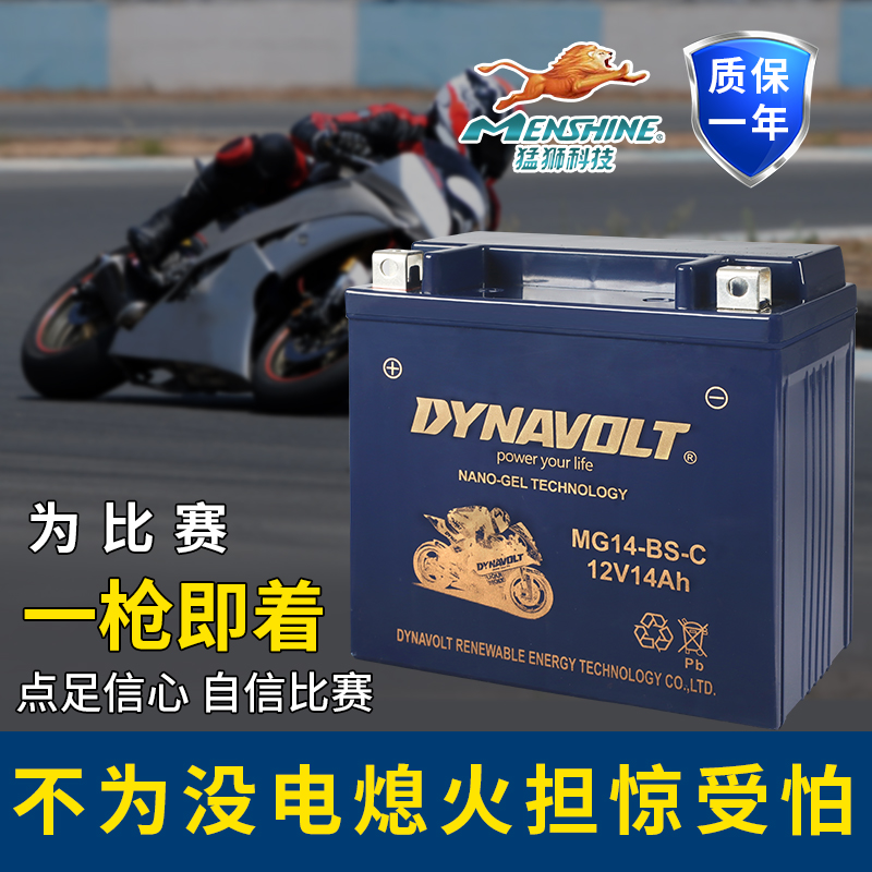 猛狮摩托车通用春风电池125st150国宾400NK650700CLX800狒狒250SR