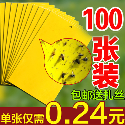 双面粘虫板黄色粘蝇板苍蝇板防水诱虫板篮板果园大棚粘板果蝇针峰