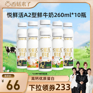 【香菇来了】悦鲜活A2型鲜牛奶260ml*10瓶 日期新鲜