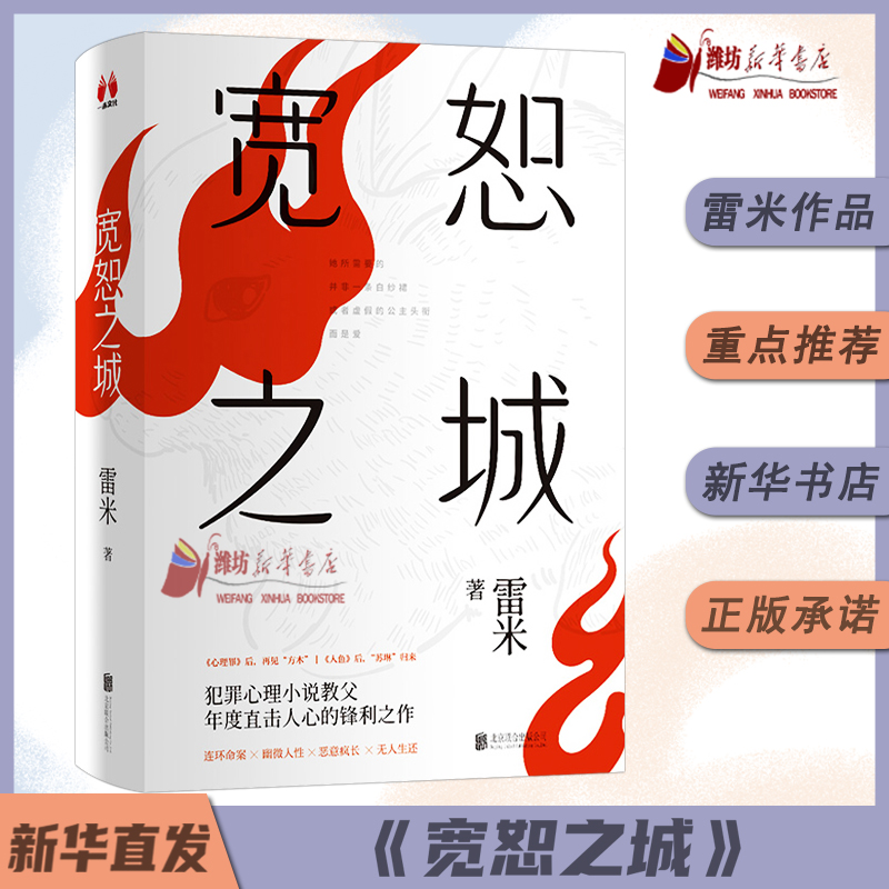 宽恕之城 新华书店正版经典图书 北京联合出版公司 雷米