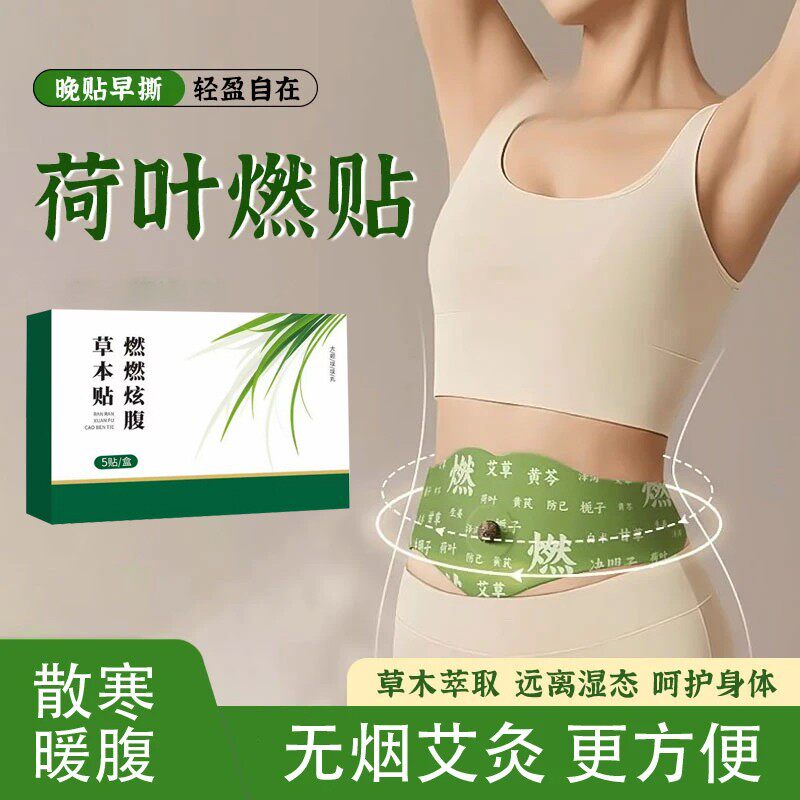 植萃艾温灸贴男女便携家用