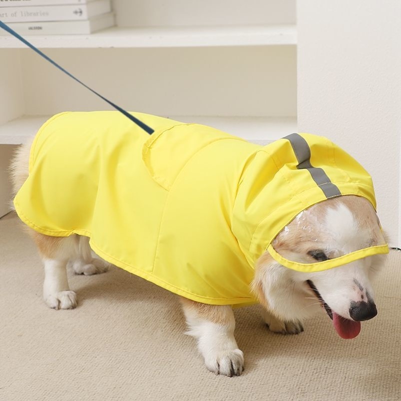 2025新款狗狗雨衣四脚防水全包中型犬小狗斗篷可牵引柴犬法斗比熊