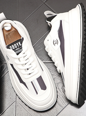 休闲鞋男2025年夏季系带板鞋厚底增高网面网红低帮小白鞋小众鞋子