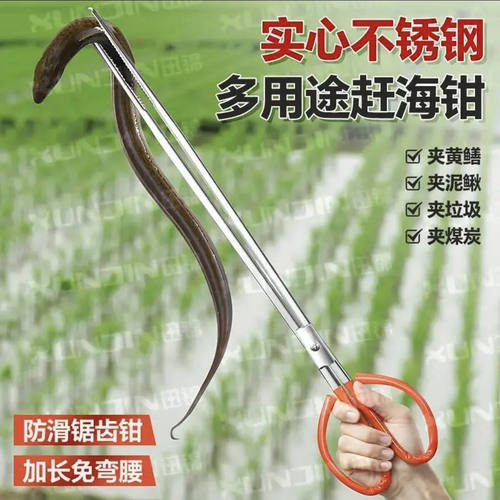东彩百货不锈钢泥鳅黄鳝夹实心防滑赶海钳螃蟹夹加长免弯腰锯齿a9