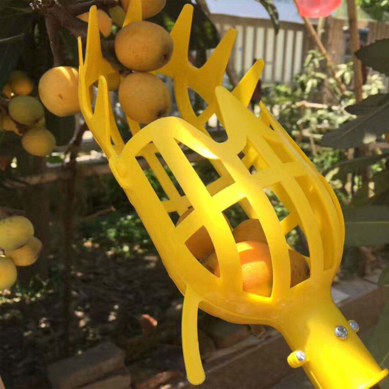 *凯丽高空水果采摘器摘杨梅琵琶水果神器不伤果实可伸缩调节摘a4