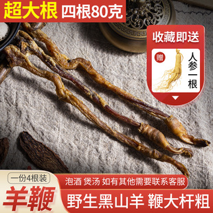 新鲜羊鞭干特大整根泡酒煲汤男性泡酒料可搭配药材打粉