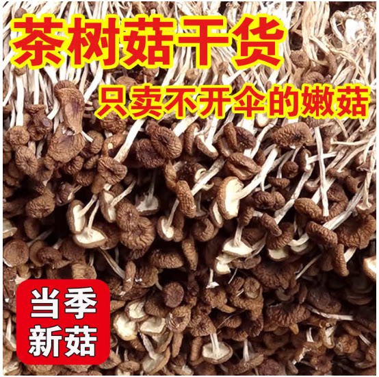 农家自产茶树菇500g包邮不开伞非特级茶树菇今年新鲜干货香菇