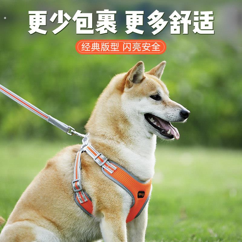 狗狗牵引绳狗绳子宠物中小型犬泰迪背心式项圈胸抱婴袋幼犬遛狗炼