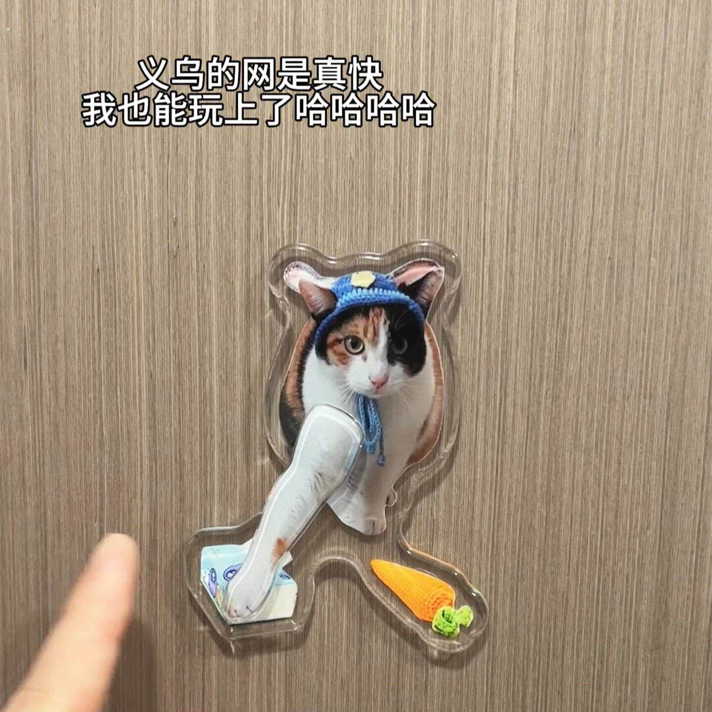 萝卜纸巾猫冰箱贴真棒猫磁吸亚克力搞怪抽象小猫解压礼物送朋友