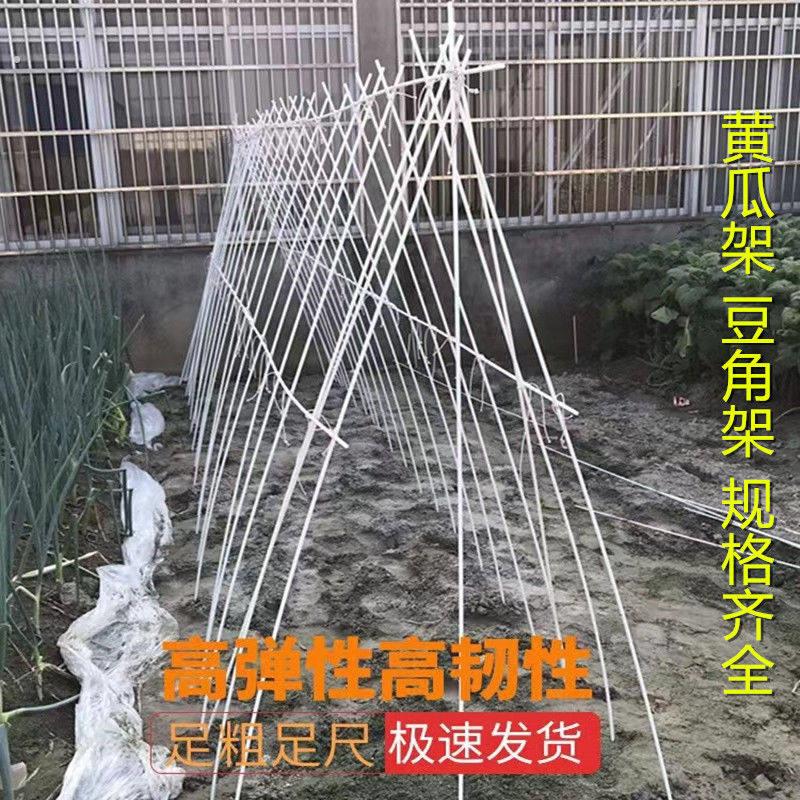 棚架杆100根豆角架黄瓜架种菜育苗杆葡萄避雨玻纤维架子种菜搭杆
