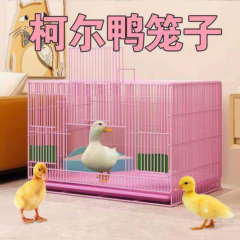 养芦丁鸡笼子饲养专用笼家用室内大号雏鸡雏鸭小鸭小鸡宠物笼加密