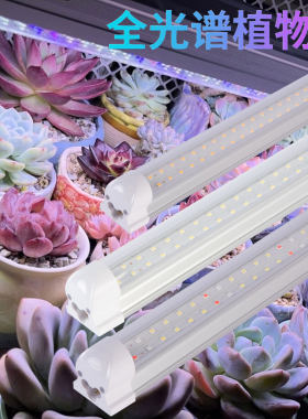 T8植物补光灯仿太阳全光谱LED组培灯多肉绿植蔬菜盆景育苗生长灯