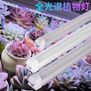 T8植物补光灯仿太阳全光谱LED组培灯多肉绿植蔬菜盆景育苗生长灯