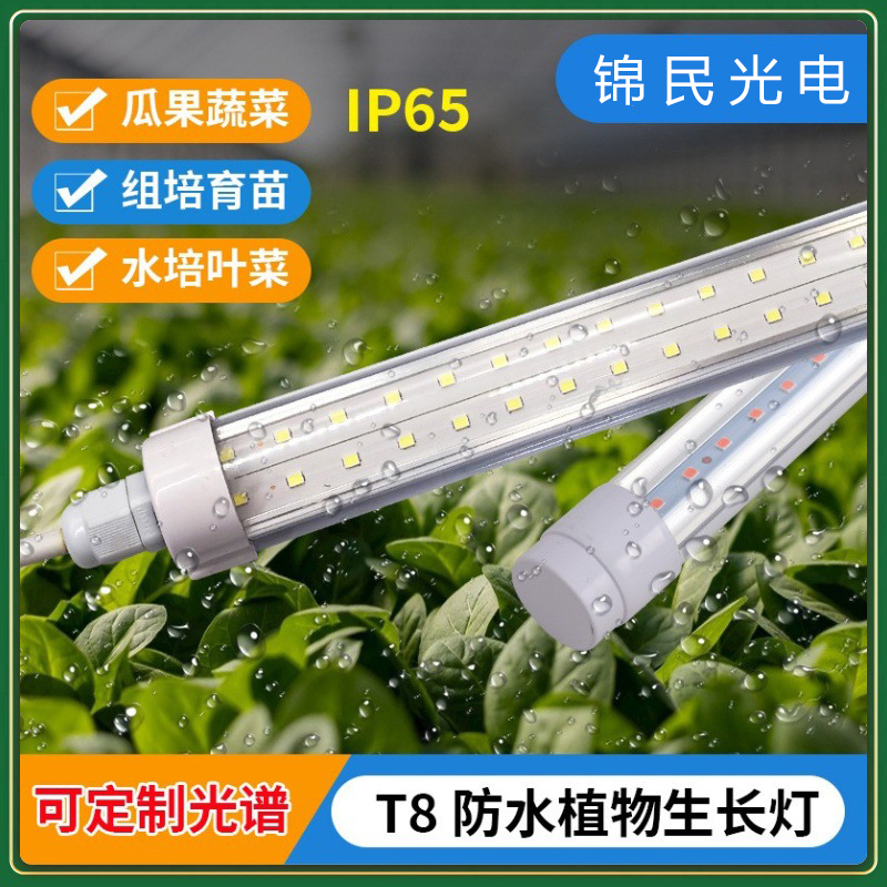 T8植物生长防水灯管育苗组培温室水培蔬菜全光谱多肉补光灯led灯