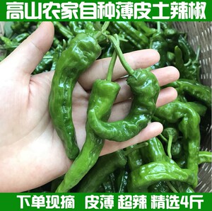 汇龙辣椒新鲜采摘超辣辣椒