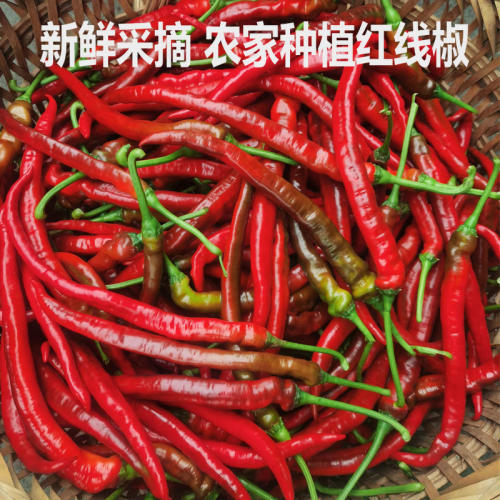 红线椒新鲜红辣椒二荆条红海椒香辣 红线椒 红线椒新鲜辣椒长辣椒