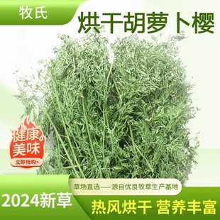烘干胡萝卜缨樱兔粮幼兔饲料新鲜干草料兔子龙猫草龙猫1000克毛重