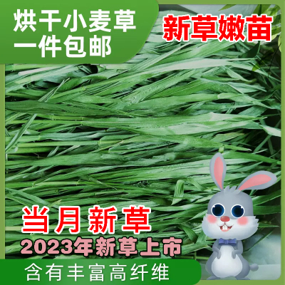 2024年烘干小麦草兔子龙猫荷兰猪