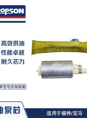 DOPSON FUEL PUMP 燃油泵 适用于宝马 福特 系列车型 品质稳定