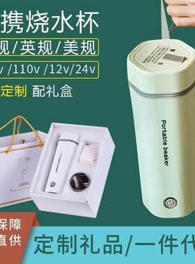 跨境速通便携小型热水壶礼品车载家用欧规英规110v小家电烧水杯