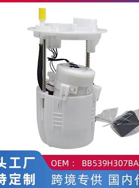 适用特3.5L 林肯MKS 燃油泵汽油泵总成BB539H307BA/E2557M